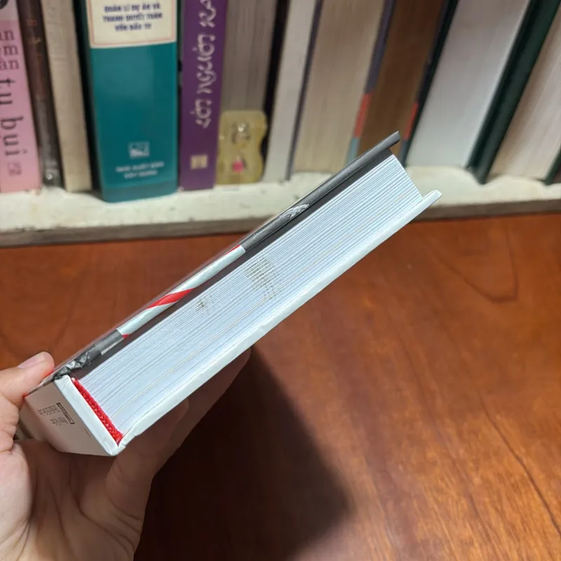 II Tự Truyện Của Wayne Besant: Trên Mảnh Đất Kiên Cường - Wayne Besant - 2022 930951