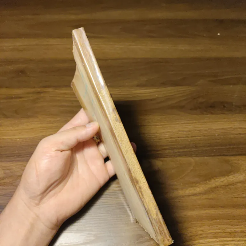 Các Con Vật Trên Rừng Dưới Biển - Đoàn Giỏi 1022201