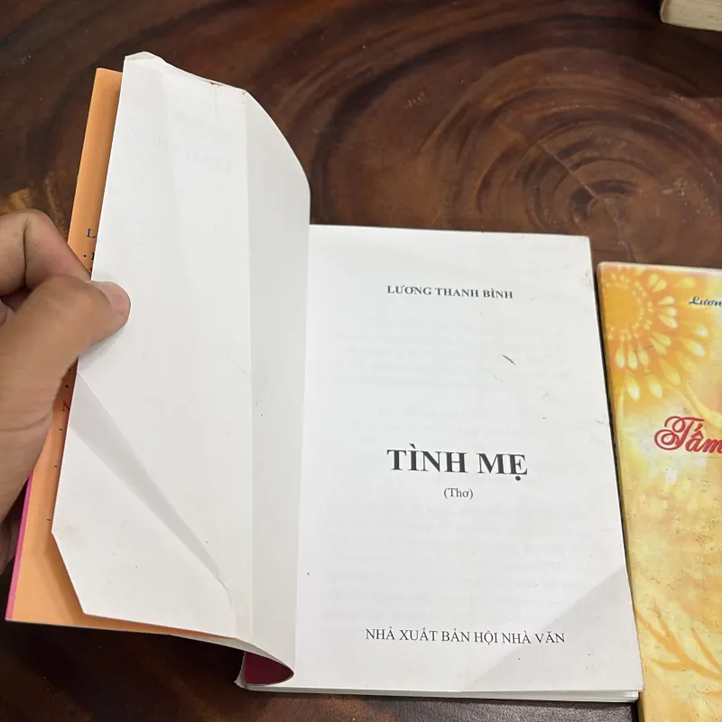 II Thơ: Tình Mẹ + Tấm Lòng Vàng - Lương Thanh Bình 998086