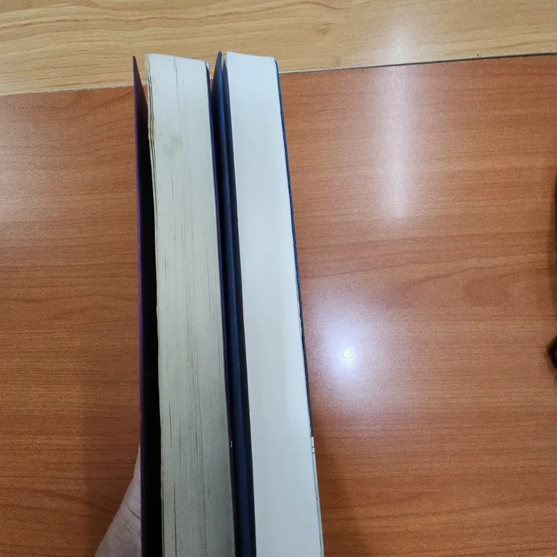 Sách combo 2 quyển Kẻ trộm kim cương & Trái tim máy của Pêtr Bunzl mới 90% 531601