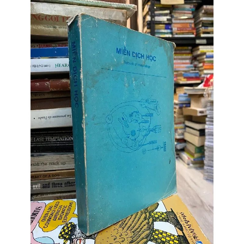 Miễn dịch học 352807