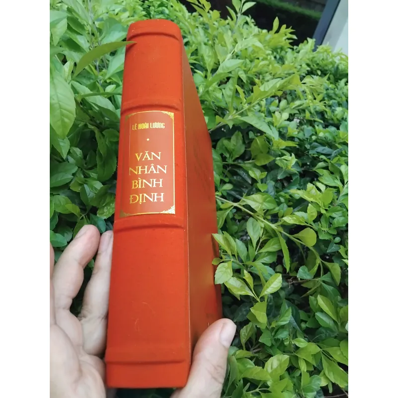 Văn nhân Bình Định một góc nhìn của Lê Hoài Lương  936642