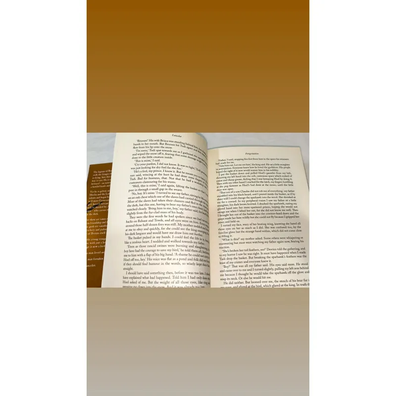 Lancelot: ‘A Masterpiece’ Said Conn Iggulden (bìa cứng, khổ lớn) 747948