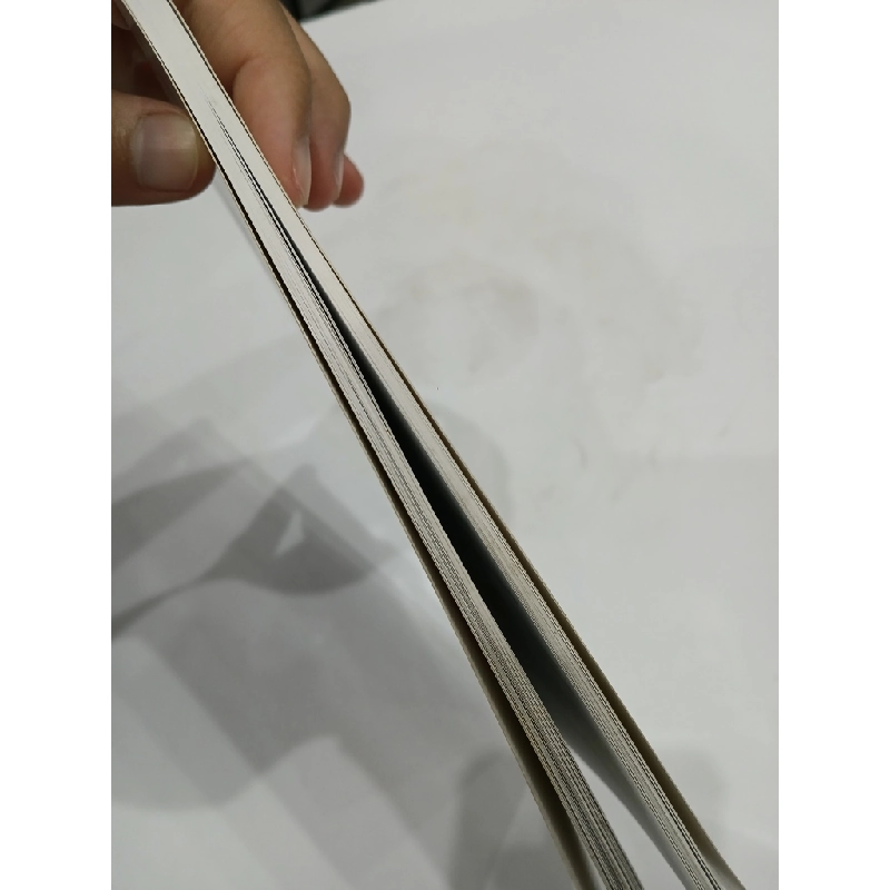 Xóm Đồ Chơi (Tập truyện đồng thoại) 550371