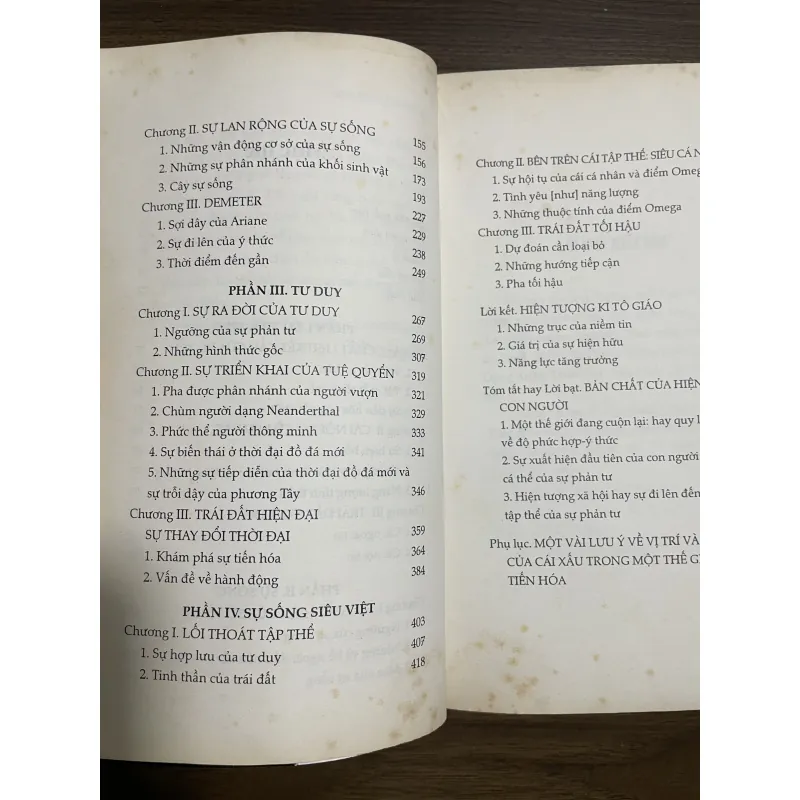 Hiện tượng con người 933813