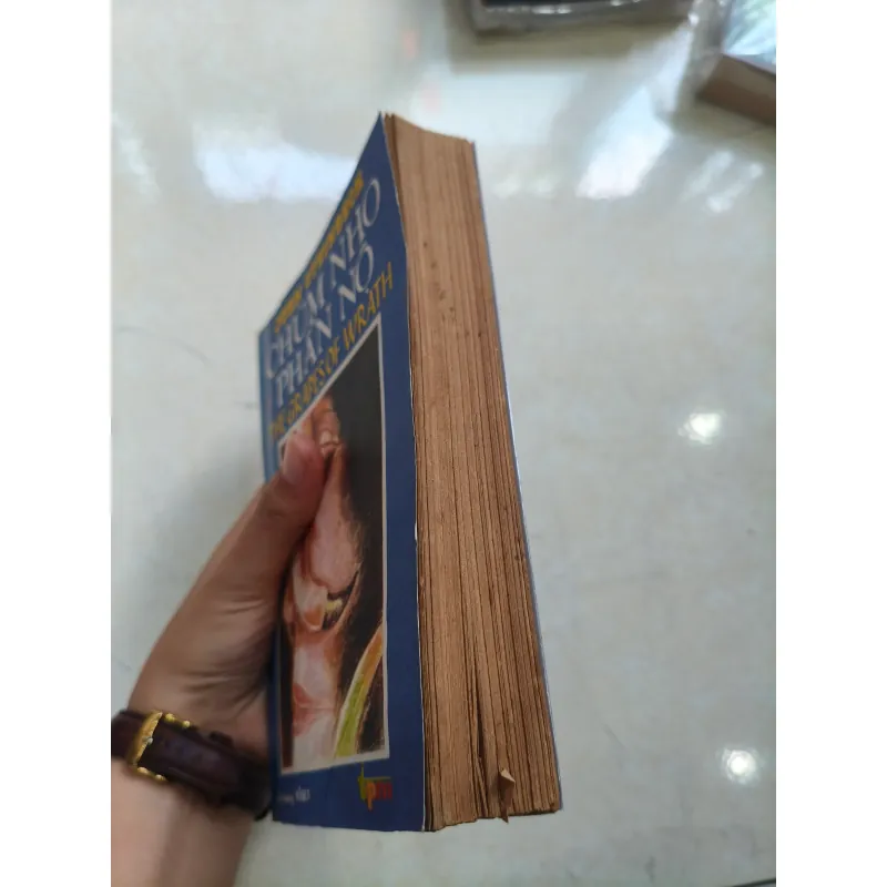 Chùm nho phẫn nộ tập 1 🌱 752640