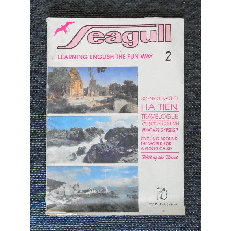Seagull xưa (Số 12-13/1993) 782970