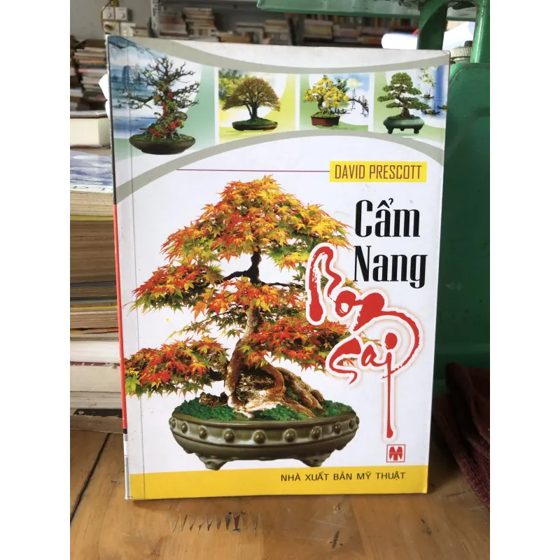 Cẩm nang bonsai 973871