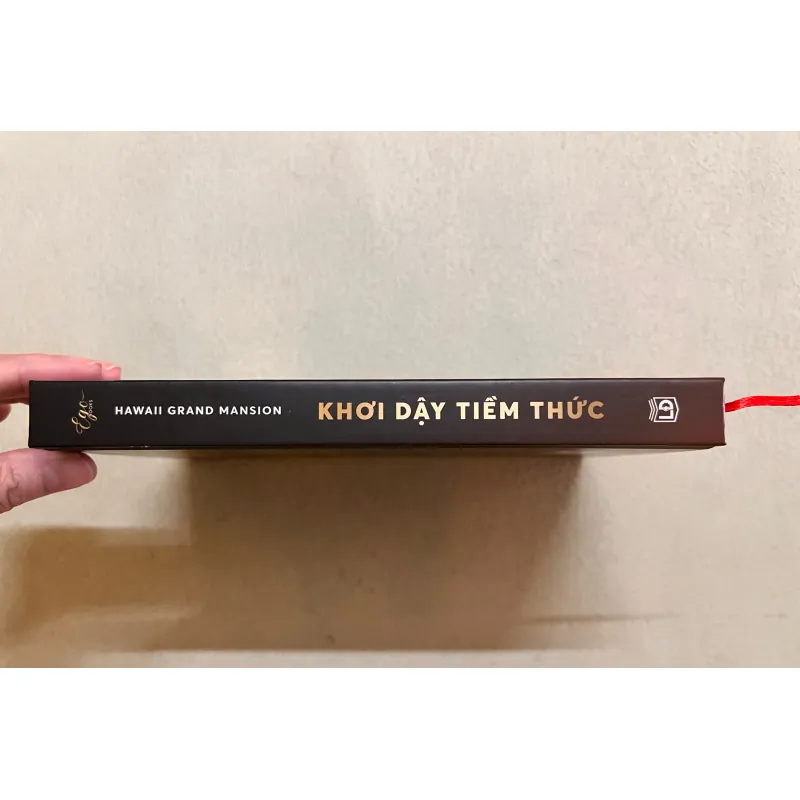 Khơi dậy tìm thức bìa cứng 751230