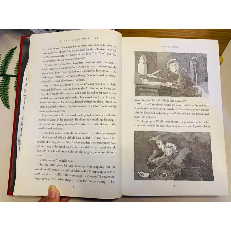 [Sách tiếng Anh 2hand] Like new 90% - 💫 The Lady and the Squire – Terry Jones 604956