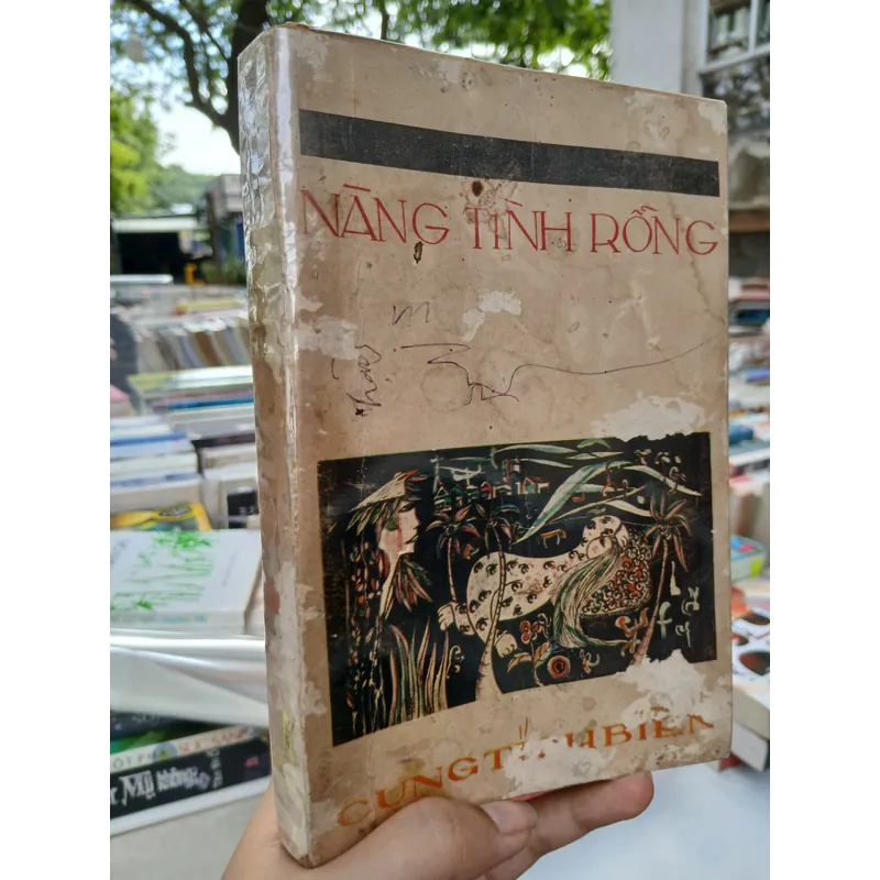 NÀNG TÌNH RỖNG - CUNG TÍCH BIỀN 705138