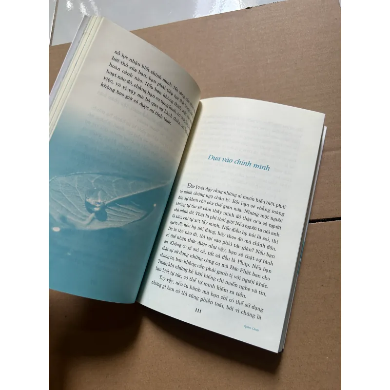 Tâm tĩnh lặng 997037