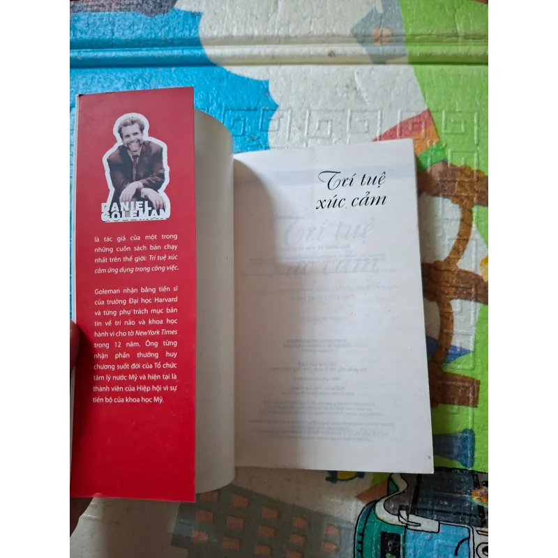 Trí Tuệ Xúc Cảm 936243