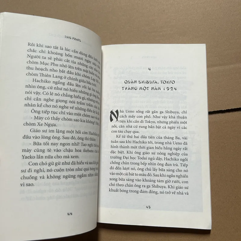 Hachiko chú chó đợi chờ 603099