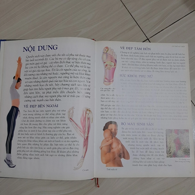 Cơ thể nữ giới 323998
