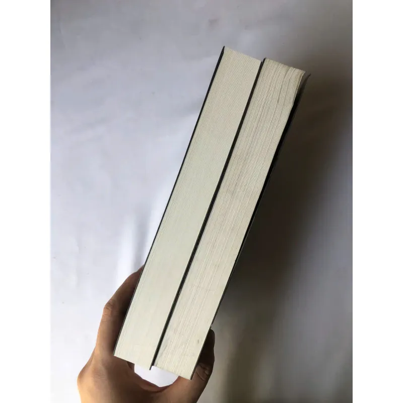 Trọn bộ 2 tập Búp Bê - Boleslaw Prus 735573