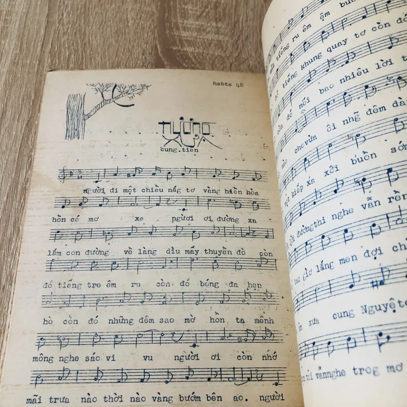 HOA SOAN BÊN THỀM CŨ 1972 993284