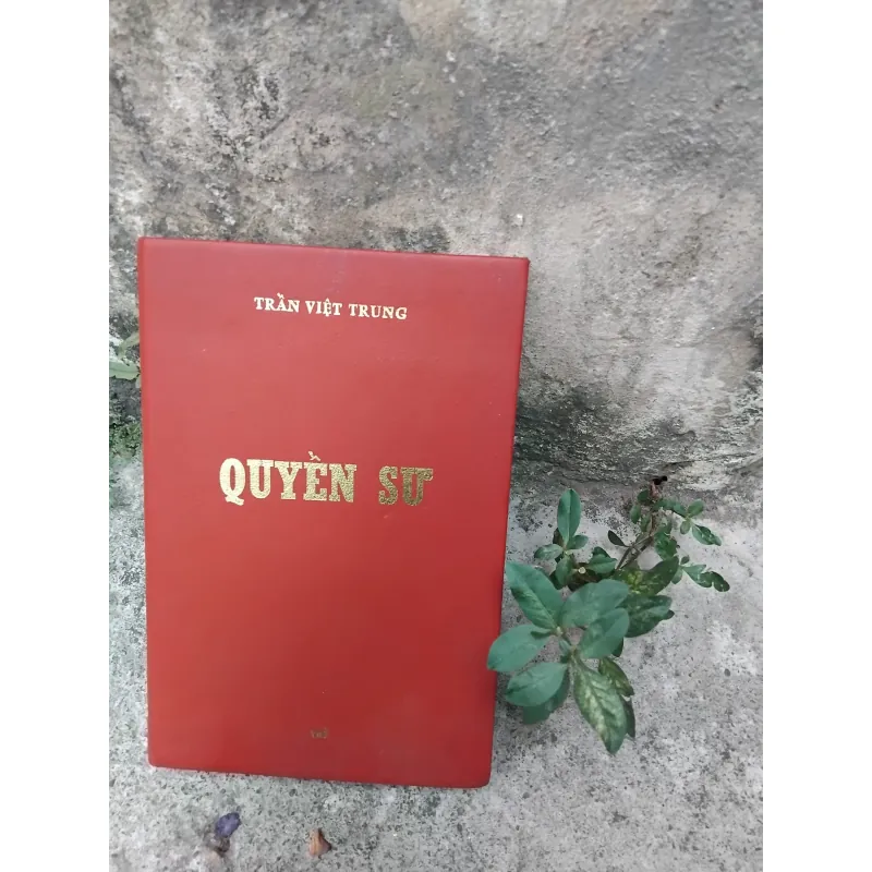 Quyền sư truyện của Trần Việt Trung  1025093