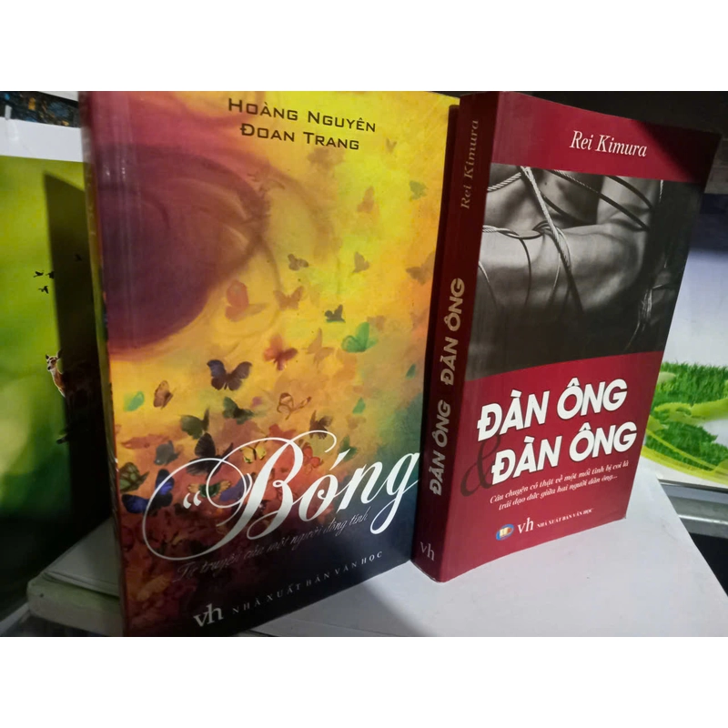 tiểu thuyết bóng 533284