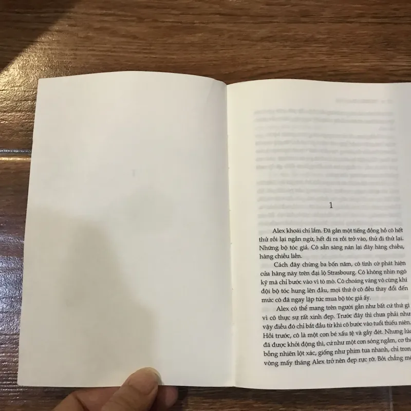 Alex - Pierre Lemaitre (6) 1002191