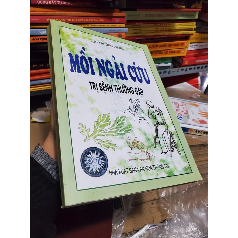 Mồi Ngải Cứu Trị Bệnh Thường Gặp (Kỹ thuật tự làm điếu ngải nhang ngải cứu) 383935