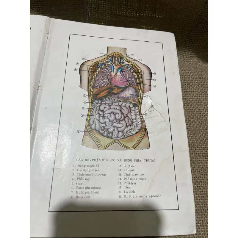 Sức khỏe chị nam- sách y trước 75-  800213
