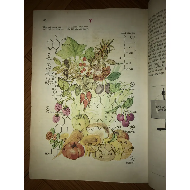 Từ điển bách khoa nhà hoá học trẻ tuổi  731806