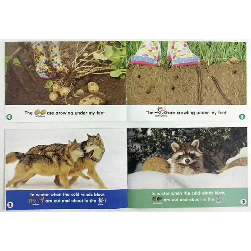 Lets find out level 1+2 (Sách nhập) - Mỗi level 24 quyển + File Mp3 759596