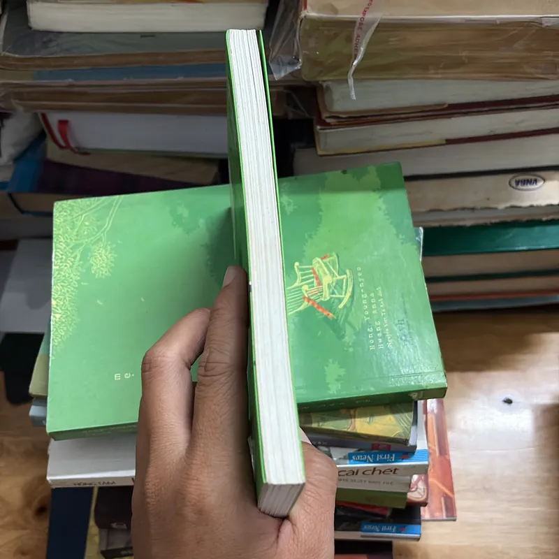 II Tựa sách: Cánh Đồng Bất Tận (Những truyện hay và mới nhất) - Nguyễn Ngọc Tư - 2005 438064