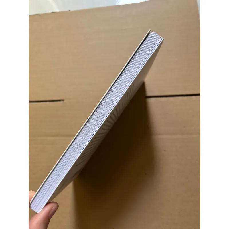 Những tọa độ song song - Nguyễn Mai Chi 789825