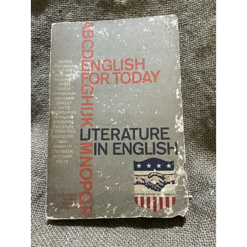 English for today 6 LITERATURE IN ENGLISH 999337