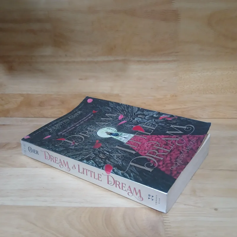 Dream a Little Dream: The Silver Trilogy (Kerstin Gier) 928334