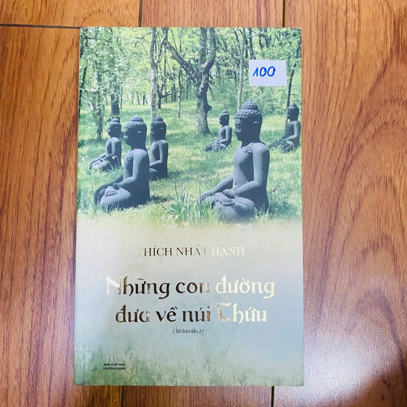 NHỮNG CON ĐƯỜNG VỀ NÚI THỨU - THÍCH NHẤT HẠNH #TAKE 384155