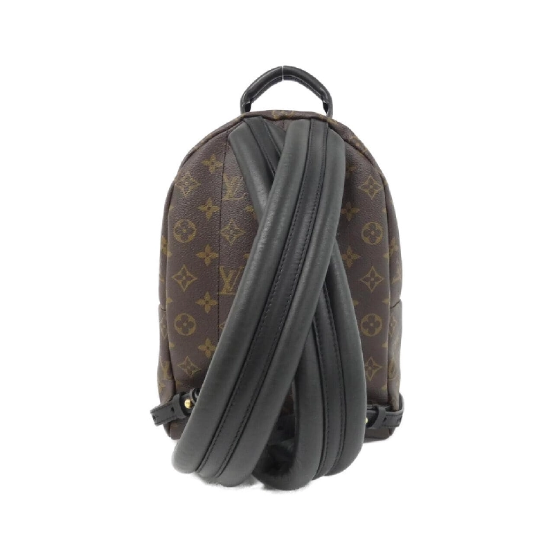 Ba lô Louis Vuitton Monogram Palm Springs PM M41560 611648