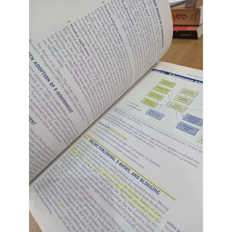 Electronic Commerce : A Management Perspective 2006 550730