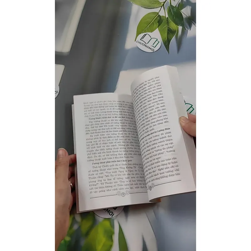 Giải Mã Nốt Ruồi - Mê Linh 776116