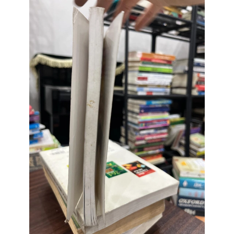 Tướng Kỳ Hậu Vệ - Trọng Nhân, Hoàng Đình Hồng 934265