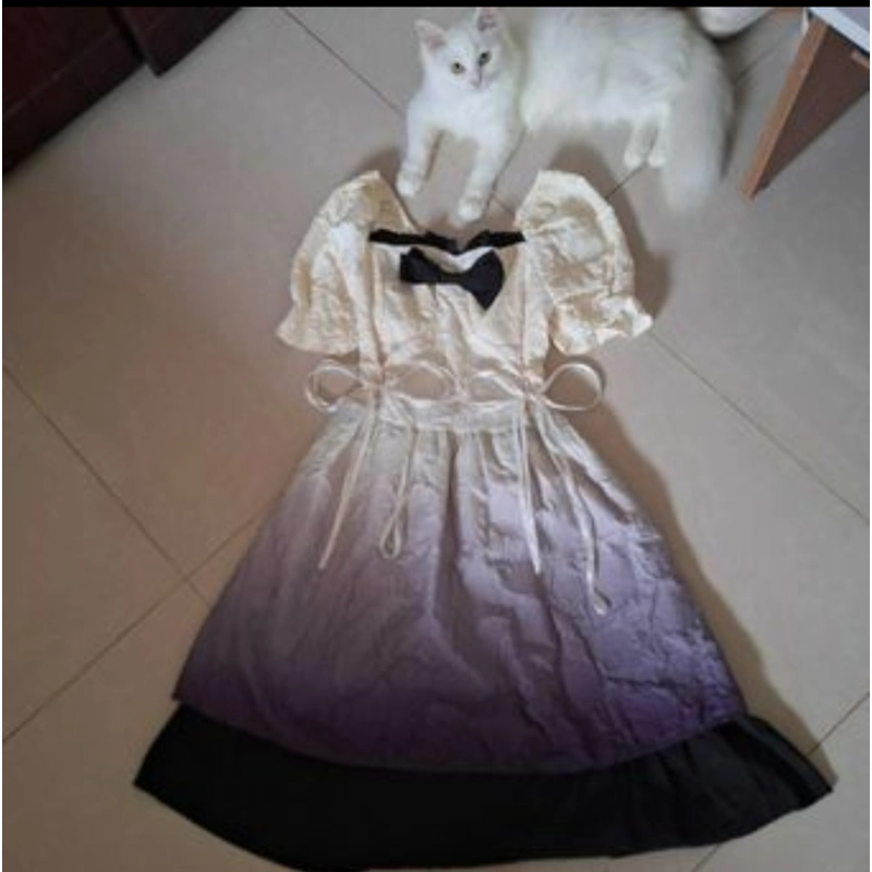 đầm loang màu tay bồng bo chun, phong cách công chúa lolita 332269