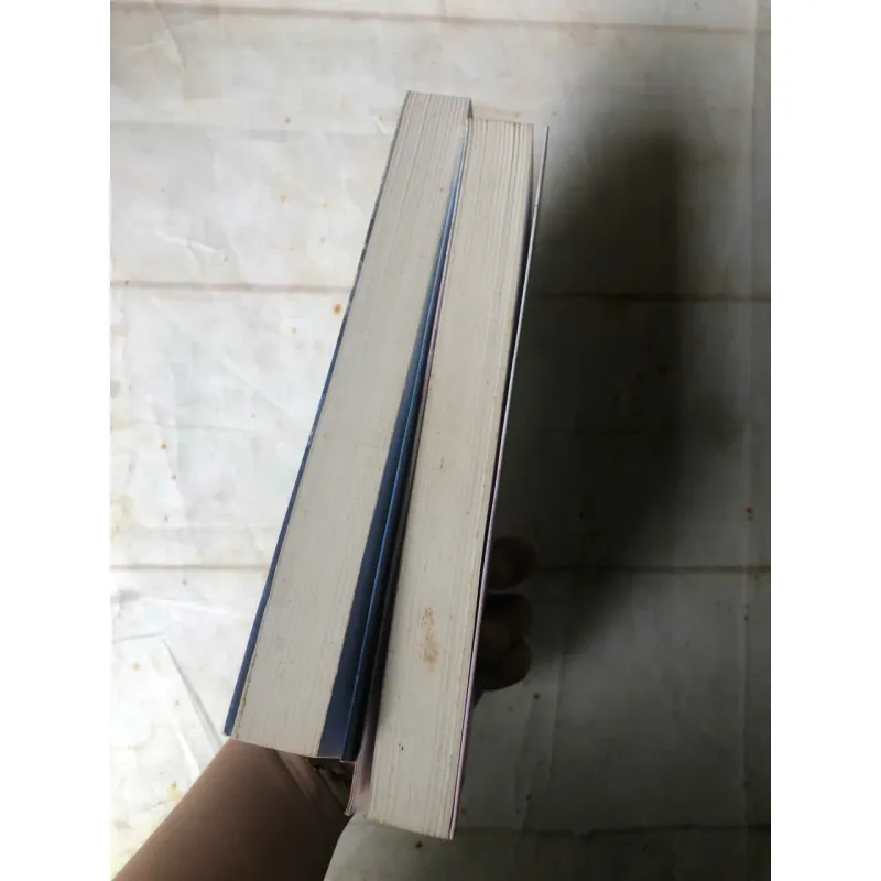 Combo Trường Hận (Bộ 2 Cuốn) - Đạm Anh 800721