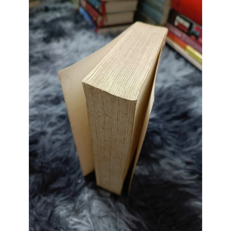 Milan Kundera tuyển tập văn xuôi 534259