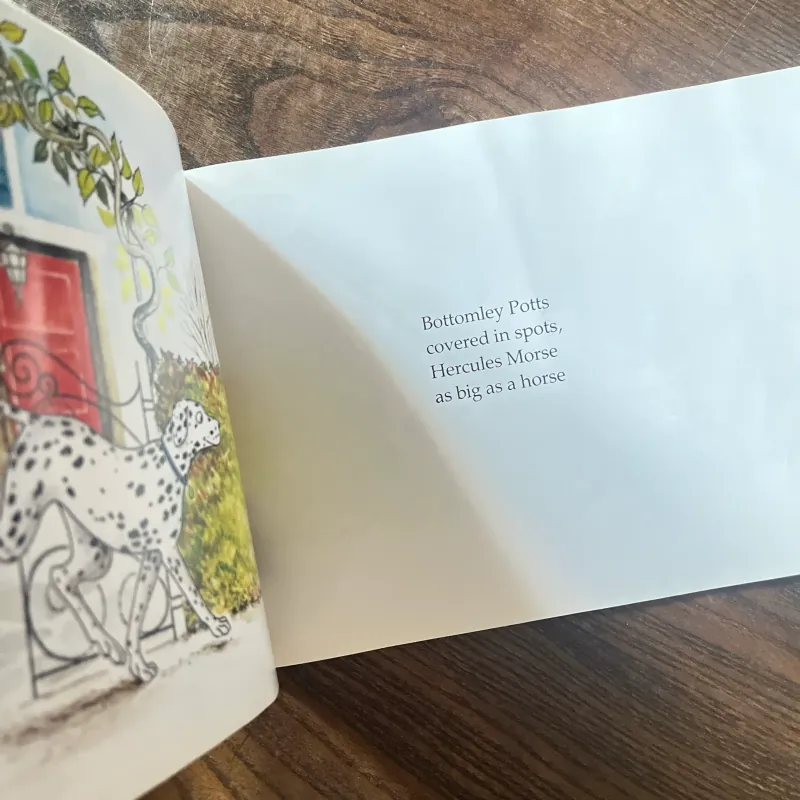 Hairy Maciary 974924