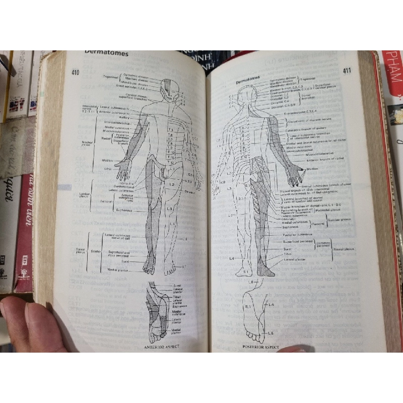 OXFORD HANDBOOK OF CLINICAL MEDICINE (4TH EDITION) -  R. A. Hope, J. M. Longmore, C. A. Wood-Allum, S. K. McManus 120169