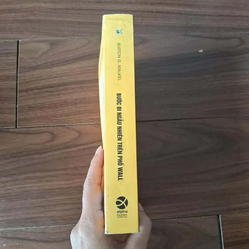 Bước đi ngẫu nhiên trên phố wall 572107