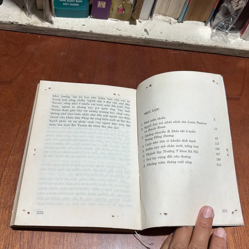 II Tủ Sách Doanh Nhân: Yersin, Quê Hương Phía Mặt Trời - Trần Phương Hạnh - 1996 1012788