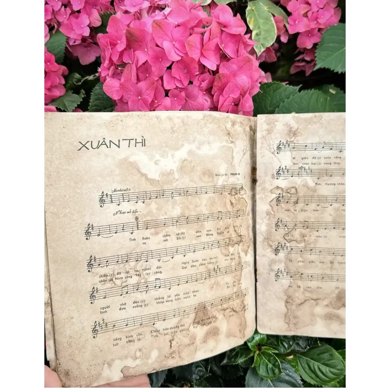 Tập nhạc Ca Khúc Cho Ngày Mai (Phạm Duy) 961290