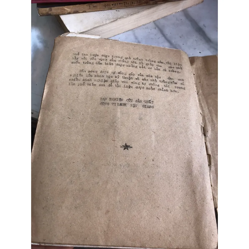 Phương pháp trồng nấm mèo  1004263