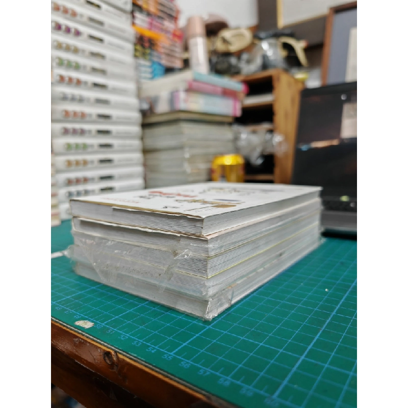 Truyện Tranh Thị Trấn Mèo - Nekomaki 435846