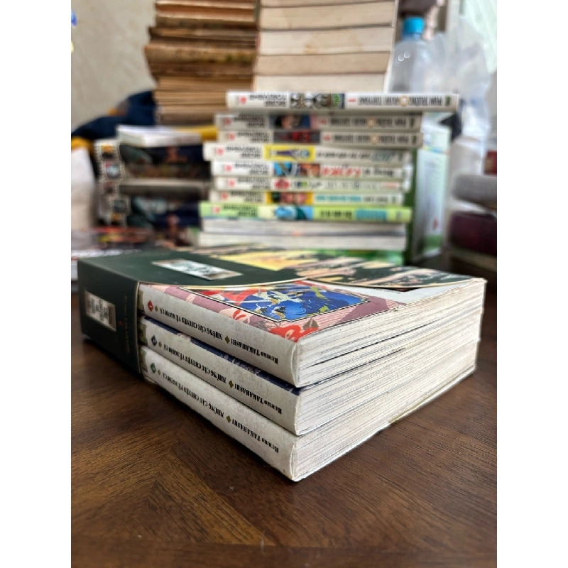 Truyện tranh những câu chuyện về người cá -Rumiko Takahashi 533449