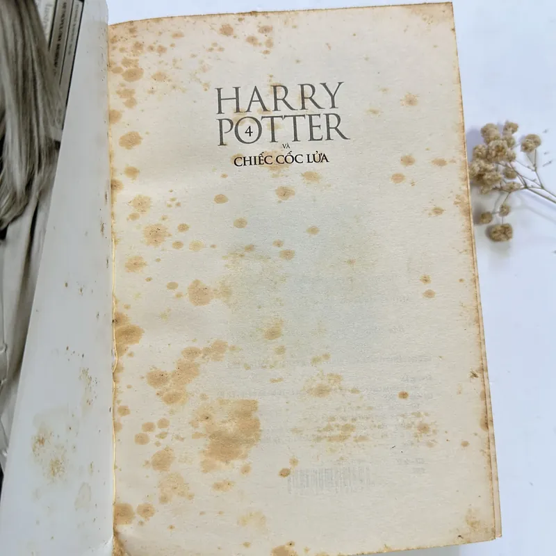 Harry Potter và Chiếc Cốc Lửa (Tập 4)– J.K. Rowling 597165
