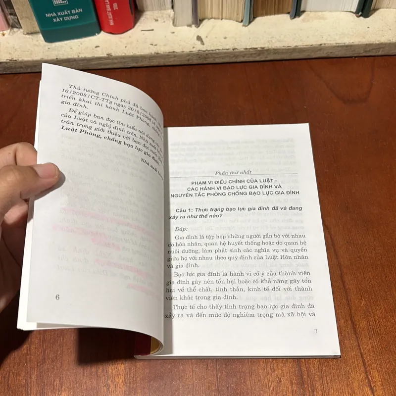 II Sách Luật: Hỏi Đáp Luật Phòng Chống Bạo Lực Gia Đình - Luật Sư Bùi Văn Thấm - 2009 748243